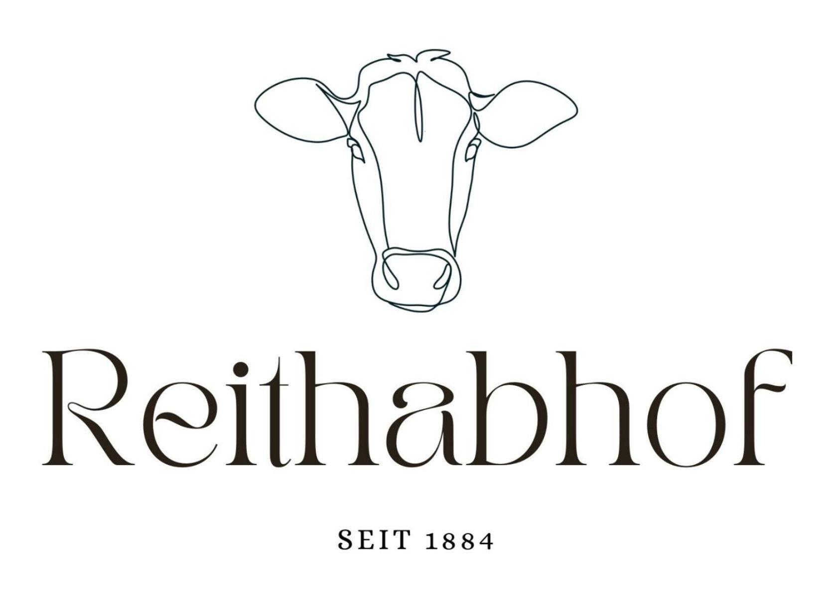 Reithabhof Apartments Schladming Exteriör bild